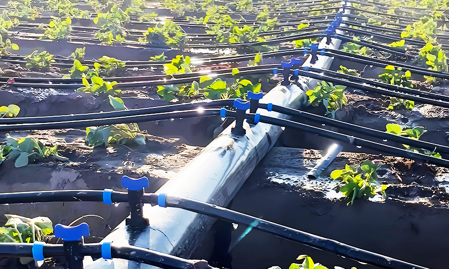 Agriculture & Irrigation